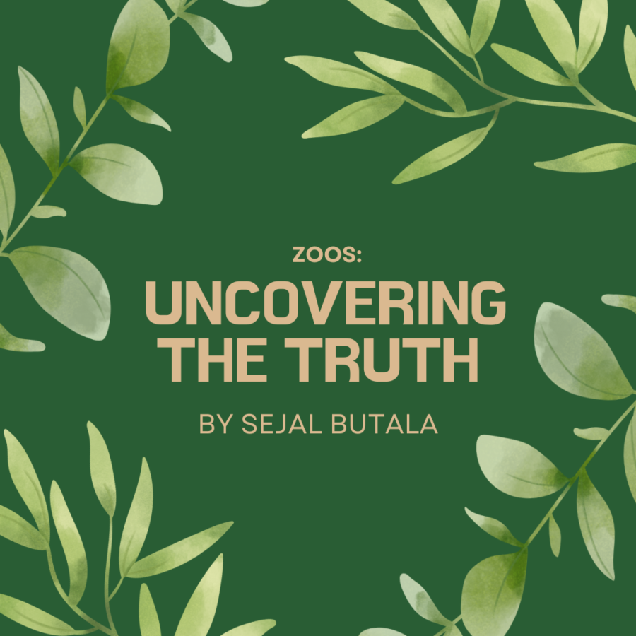 Opinion%3A+Zoos%2C+Uncovering+the+Truth